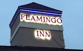 Flamingo Motel Elk City Ok